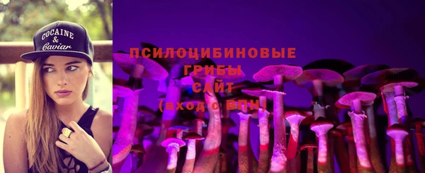 эйфоретик Алзамай