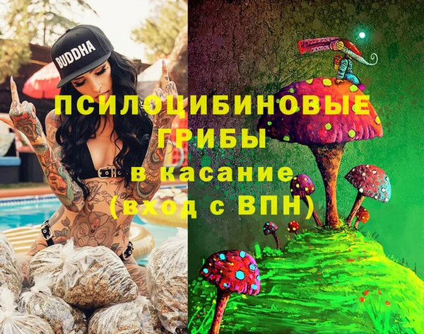 apvp Алексеевка