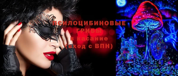 гашик Алексин