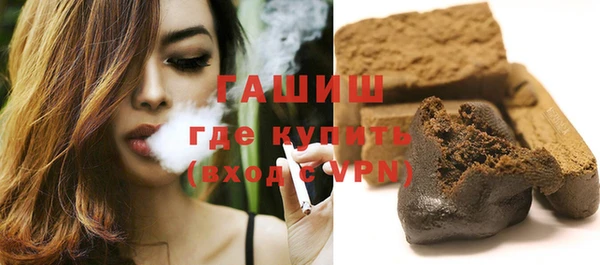 гашик Алексин